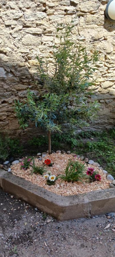 קרקסון Le 9 De Cour, Chambre Caouette מראה חיצוני תמונה